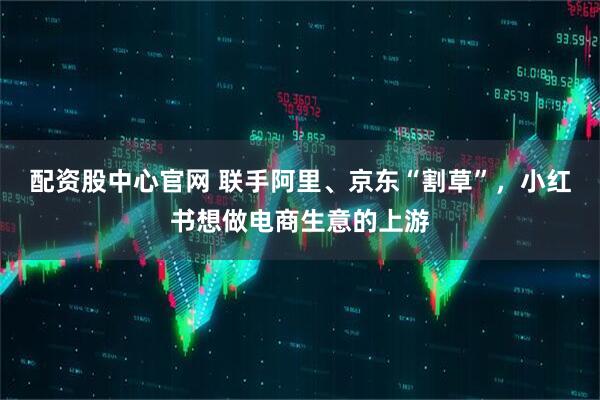配资股中心官网 联手阿里、京东“割草”，小红书想做电商生意的上游