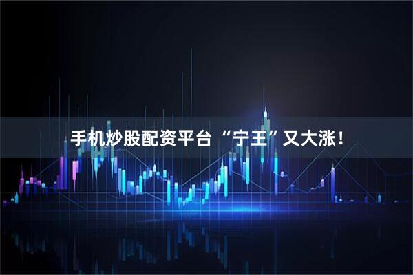 手机炒股配资平台 “宁王”又大涨！