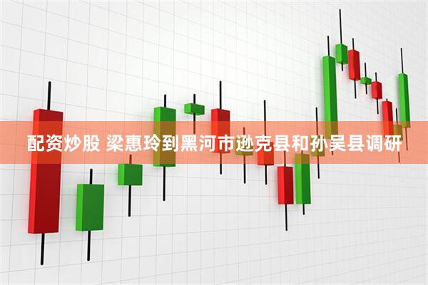 配资炒股 梁惠玲到黑河市逊克县和孙吴县调研
